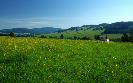 609549 (a): :1680x1050